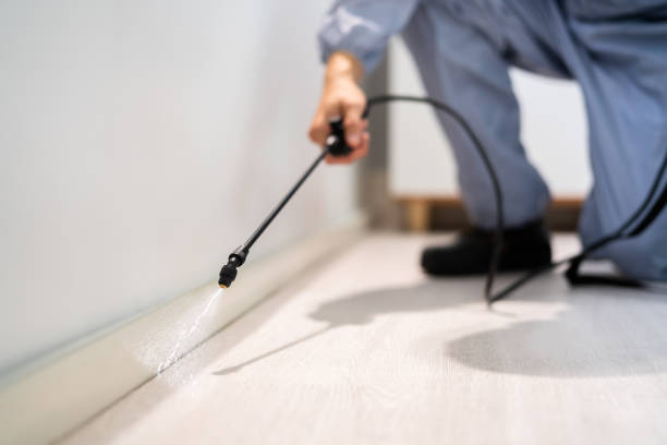 Licensed Fumigation Services service in Victorville, CA - Nex Pest Control