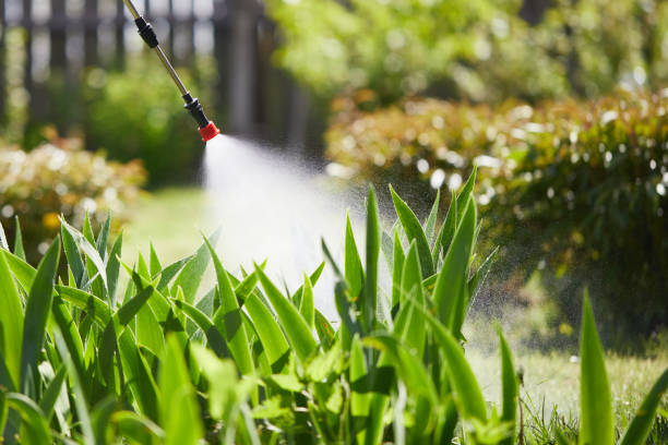 24/7 Emergency Fumigation Services experts in Victorville, CA