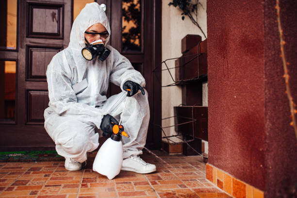 Reliable Fumigation Services contractor in Victorville, CA by Nex Pest Control