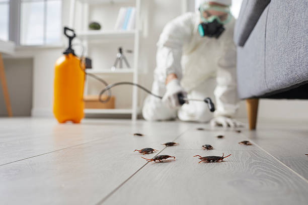 Trusted Rodent Control service in Victorville, CA - Nex Pest Control